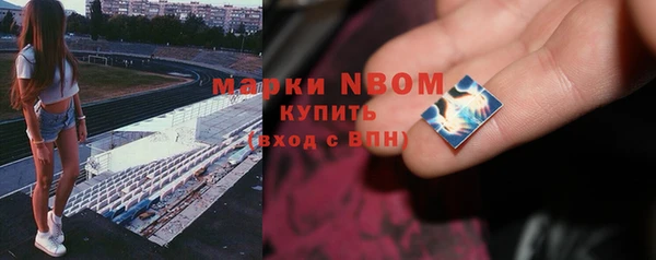 сатива Кинешма