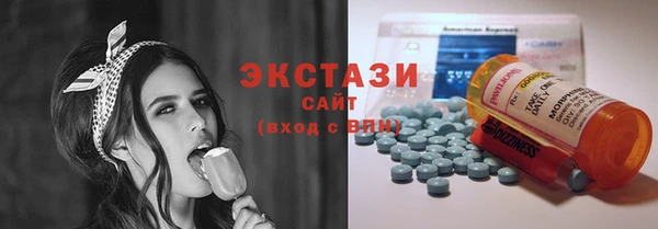 ГАЛЛЮЦИНОГЕННЫЕ ГРИБЫ Козловка