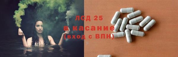 PSILOCYBIN Белая Калитва