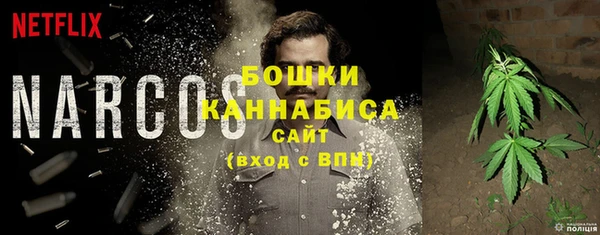 сатива Кинешма