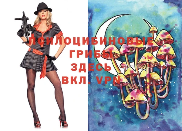 ГАЛЛЮЦИНОГЕННЫЕ ГРИБЫ Козловка