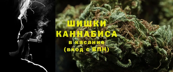 СК Кодинск
